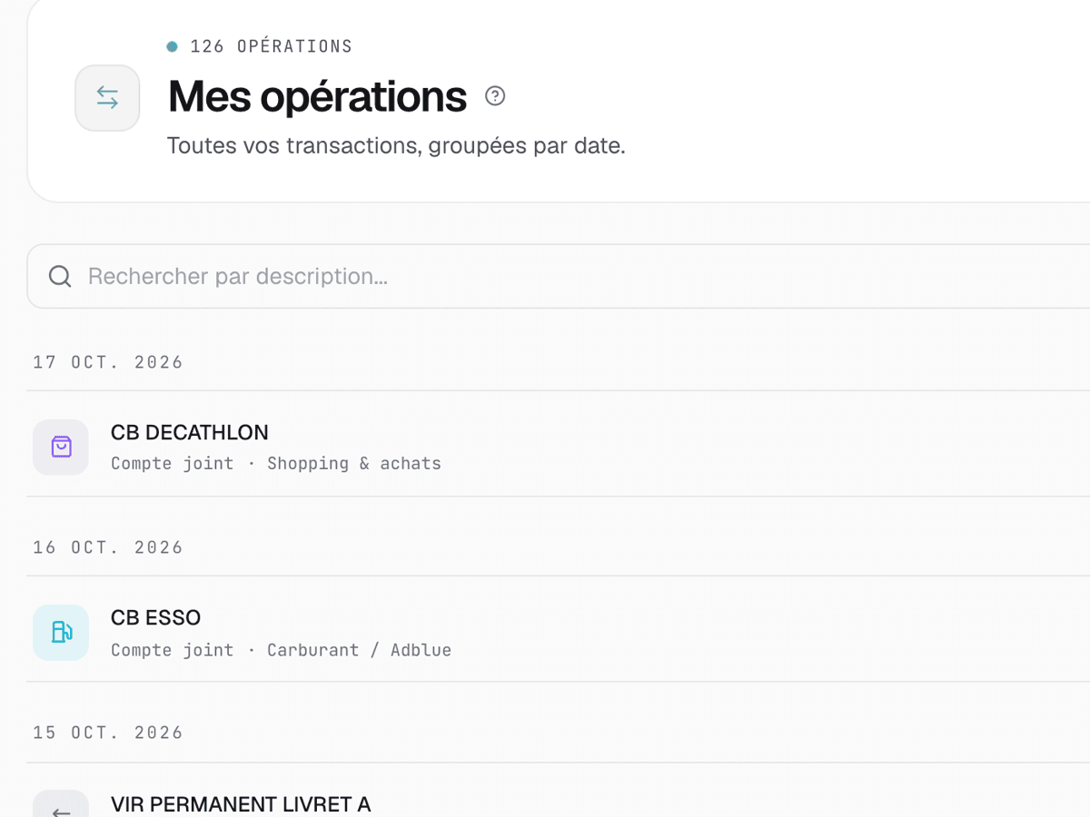 Liste des opérations importées, chacune avec sa catégorie